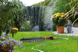 Nawadnianie roślin - systemy nawadniające w ogrodzie 