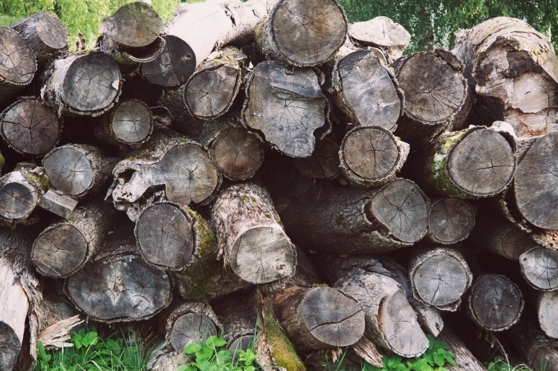 ekologiczne palenie w kominku - skład drewna , wyrzutnia powietrza