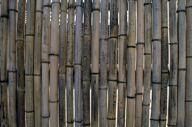 płotek bambusowy